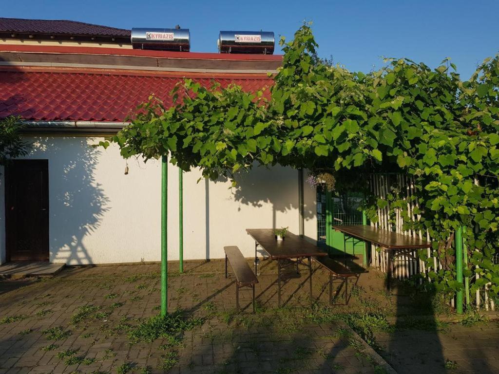 Vila Orizont Венус Екстер'єр фото