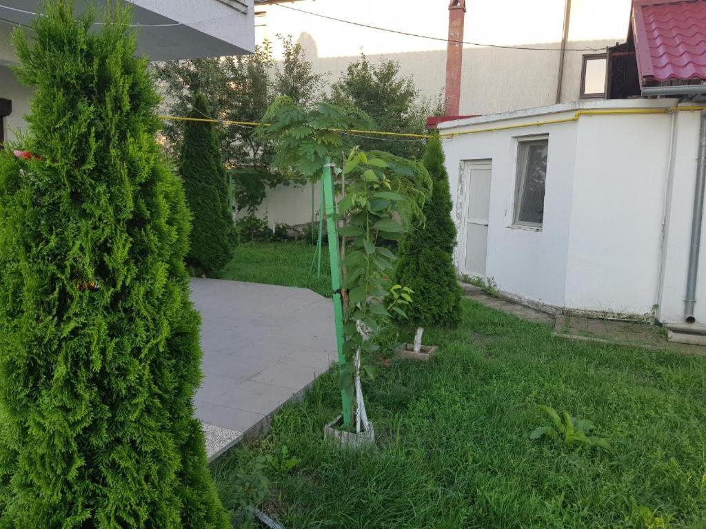 Vila Orizont Венус Екстер'єр фото